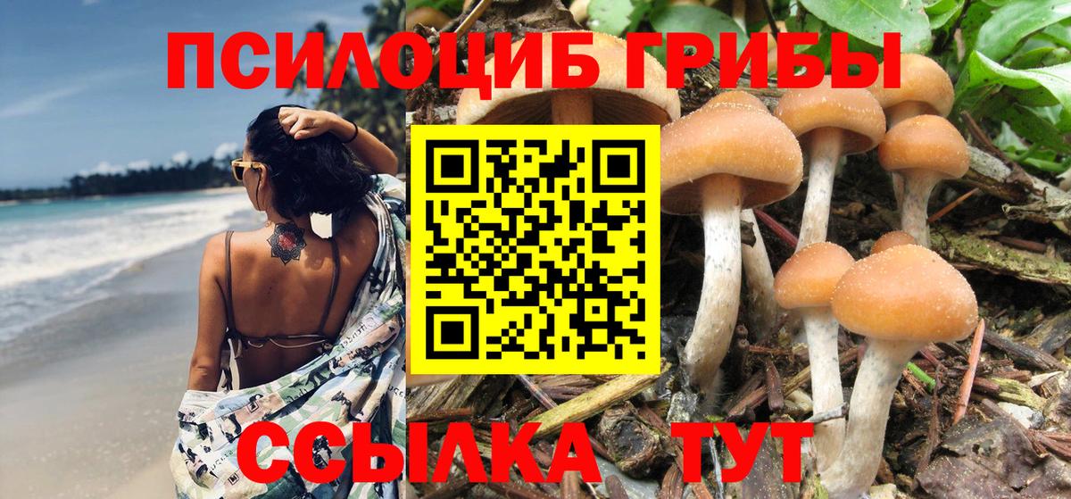Галлюциногенные грибы MAGIC MUSHROOMS  Вход с VPN  дарнет шоп  Рассказово 